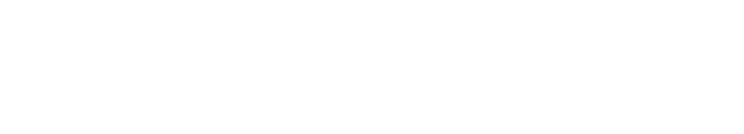 Blue Vision Technologies